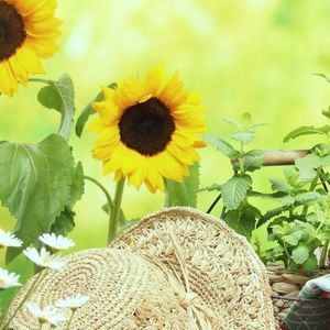 Meet your Posher, Becky